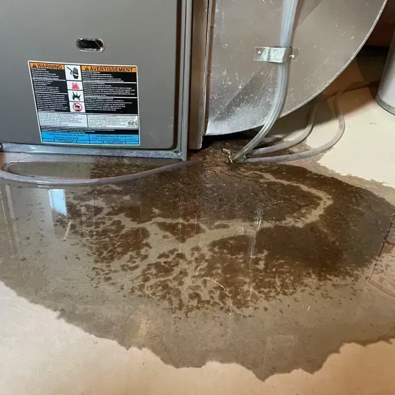 Appliance Leak Cleanup in Clay County, KY